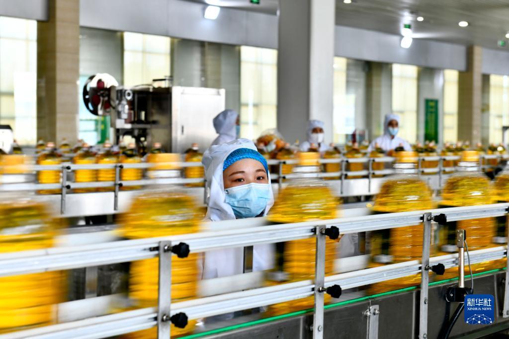 银河奇异果电脑版下载